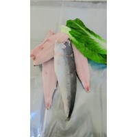 استیک ماهی قباد و بچه شیر